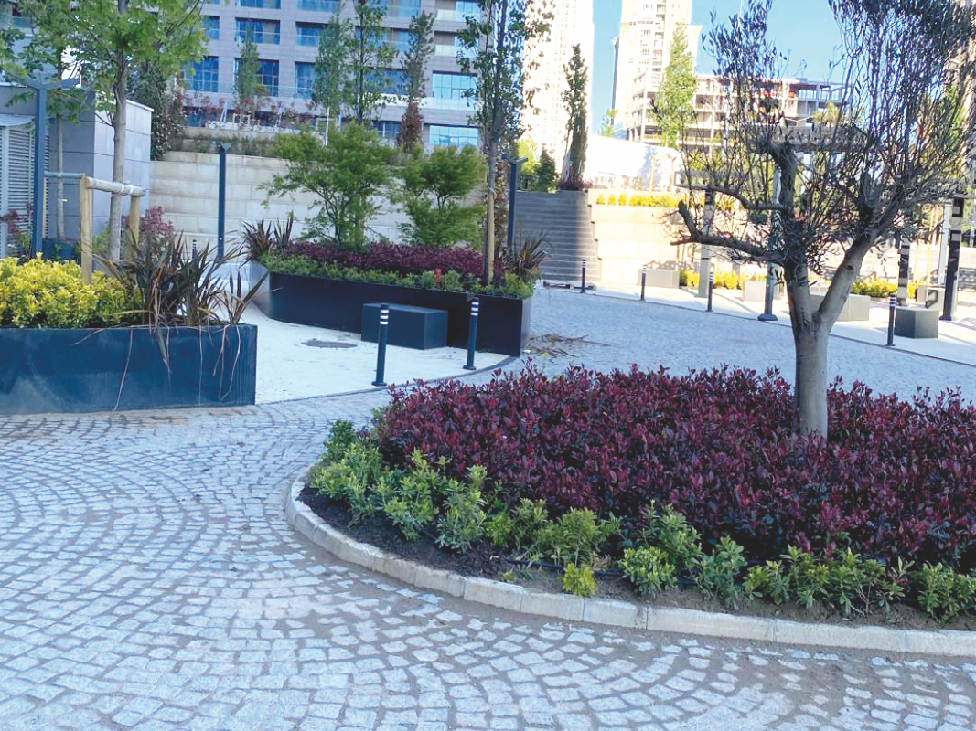 Silindirik Teras Saksısı 02 görsel 2