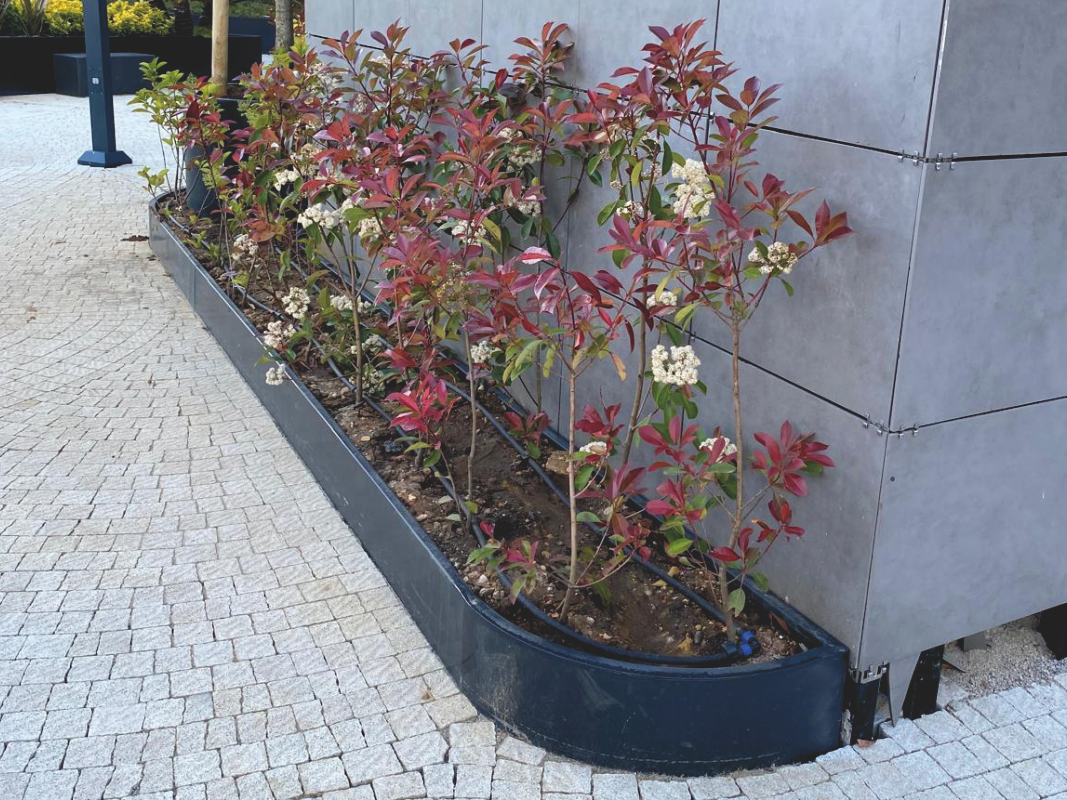 Yüksek Gövdeli Saksı 05 görsel 2