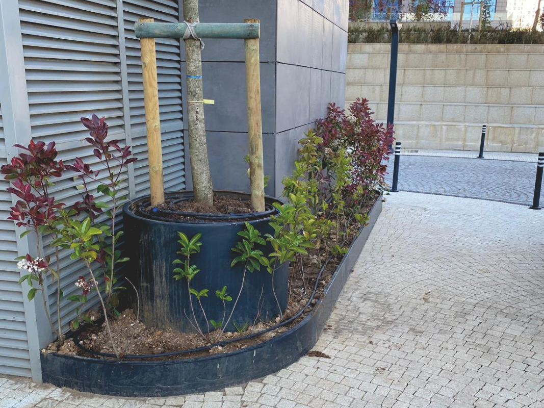 Yüksek Gövdeli Saksı 05 görsel 3