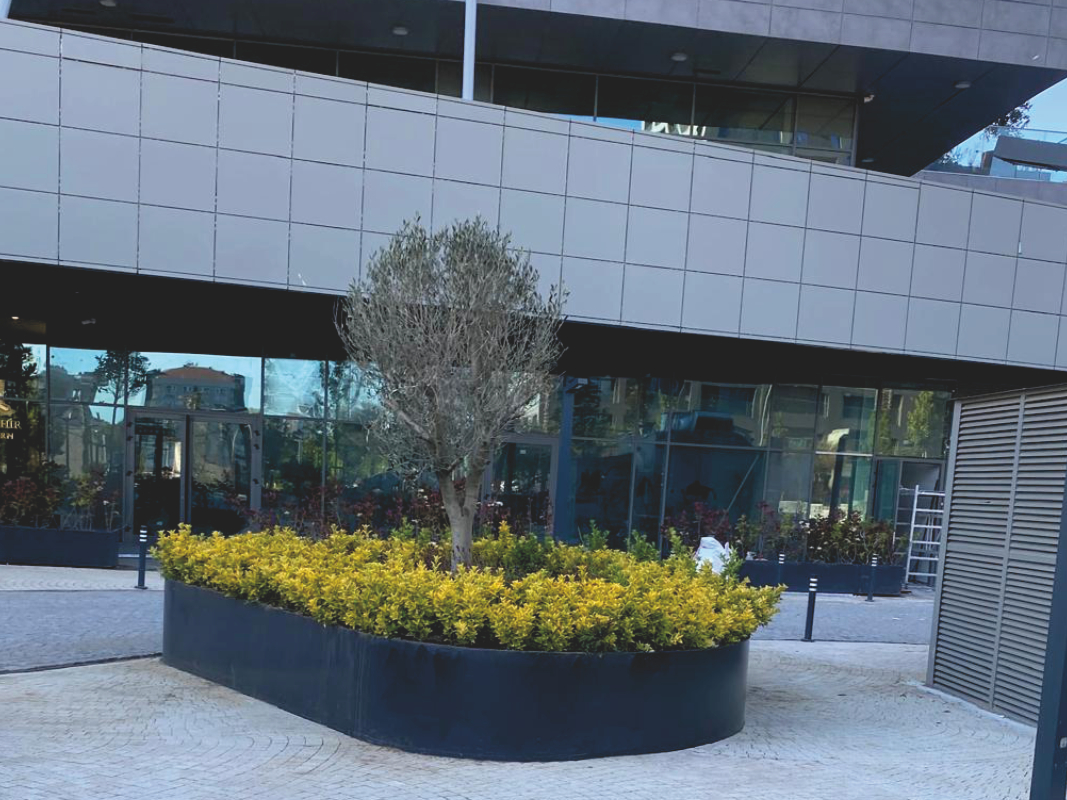 Yüksek Gövdeli Saksı 05 görsel 4