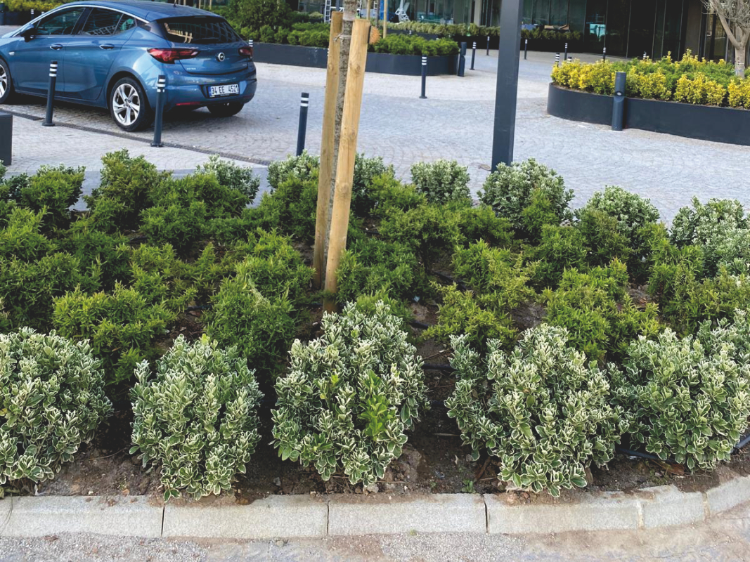 Kademeli Saksı Kompozisyonu 07 görseli