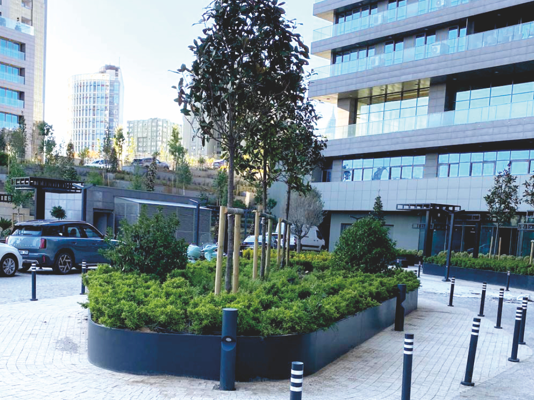 Radyal Saksı Serisi 08 görsel 2