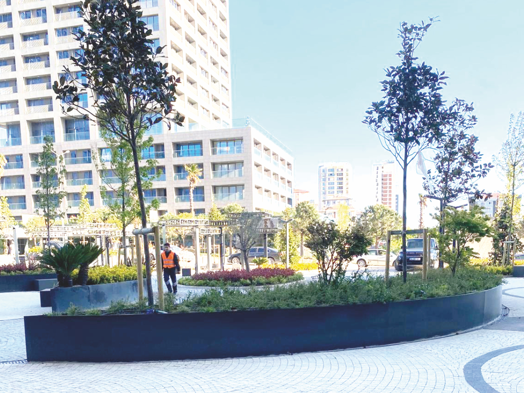 Radyal Saksı Serisi 08 görsel 4