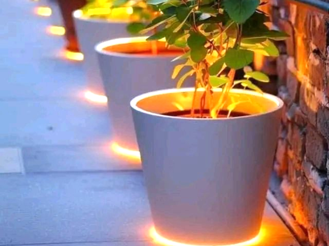 Geniş Ağızlı Saksı 10 görseli