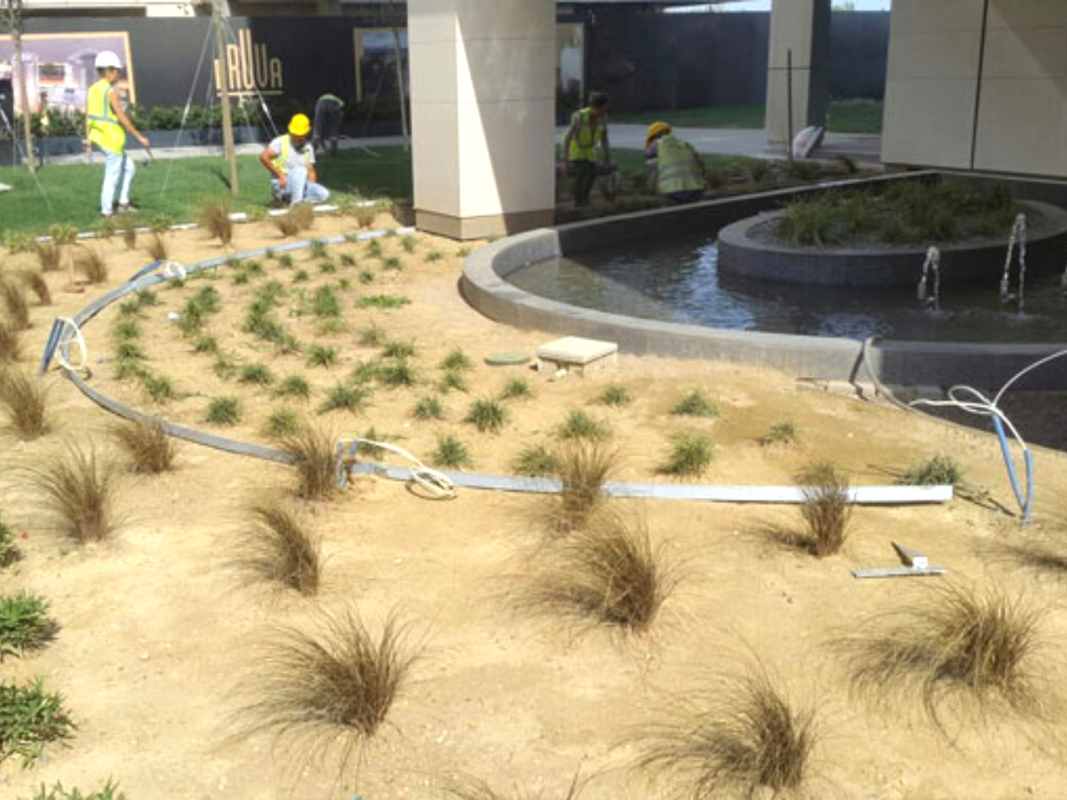 Petek Desenli Bitki Ayraç 01 görsel 3