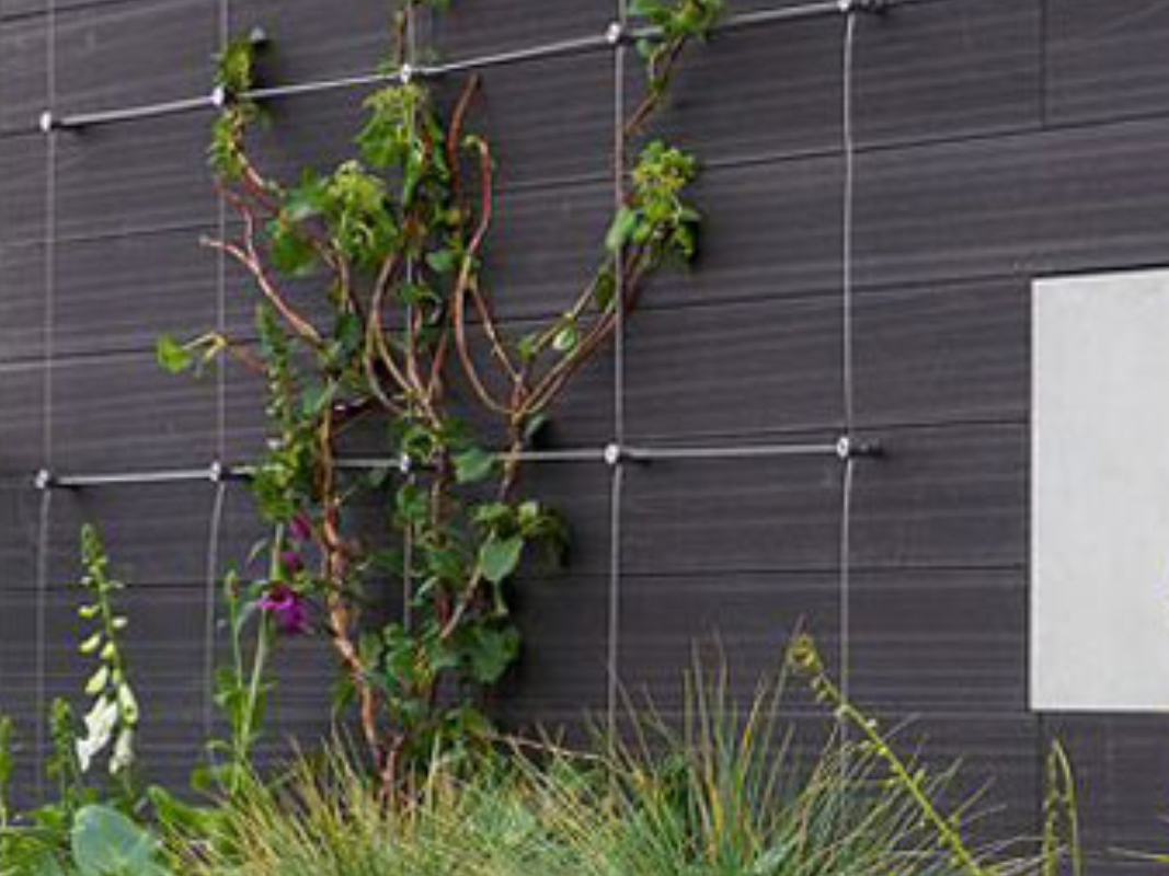 Yaprak Desenli Bitki Duvarı 01 görsel 2