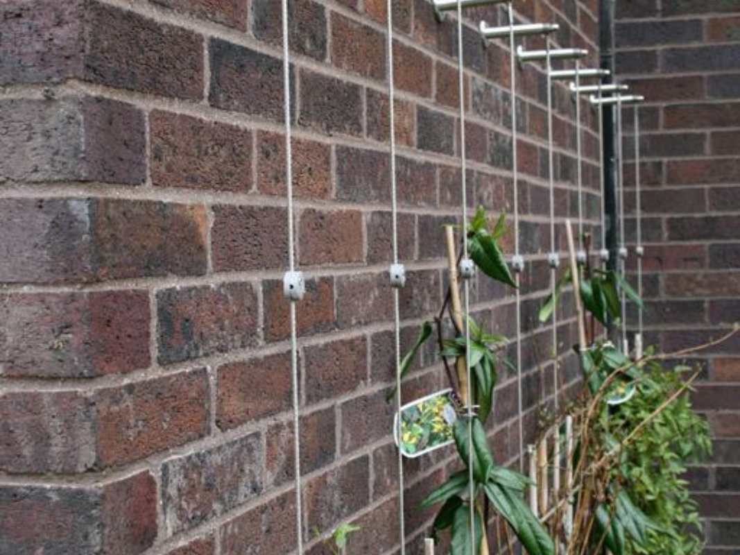 Yaprak Desenli Bitki Duvarı 01 görsel 3