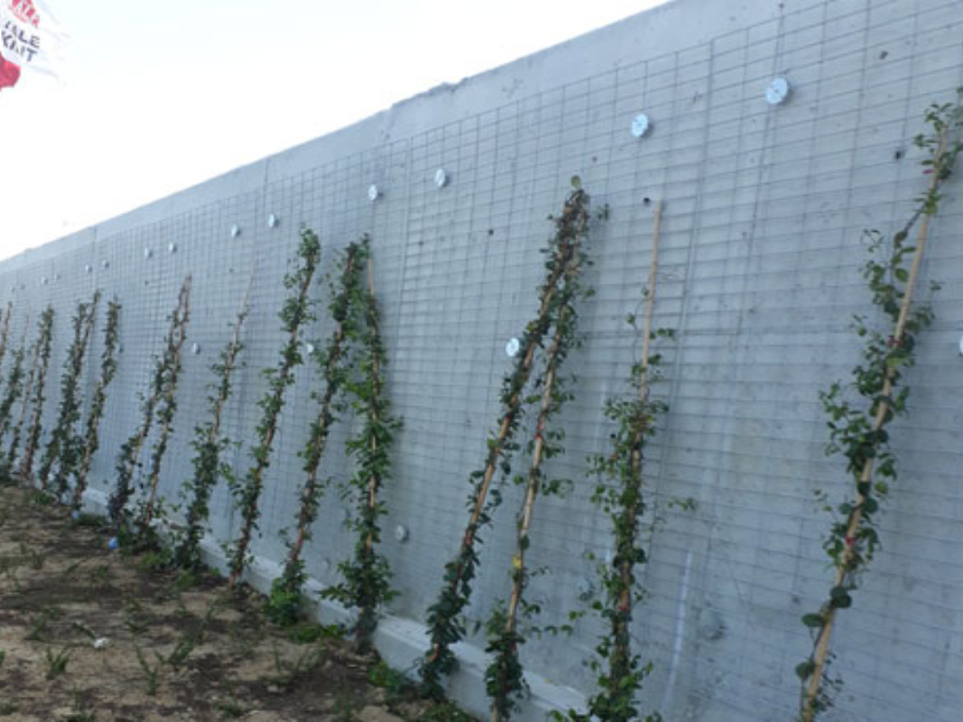 Örgü Form Bitki Paneli 02 görseli