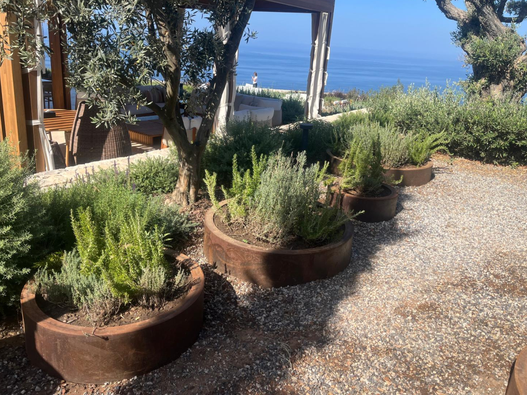 Konik Giriş Saksısı 01 görseli