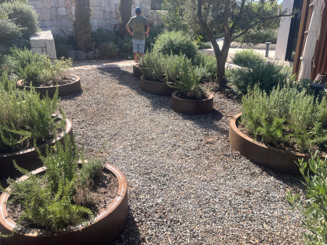 Konik Giriş Saksısı 01 görsel 2